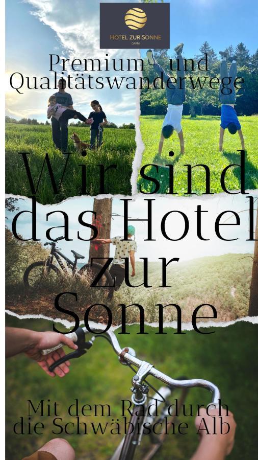 Hotel Zur Sonne Bodelshausen Buitenkant foto